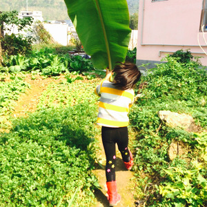 小镇时光