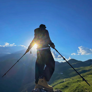 Yuuuioo - 两只老虎数鸭子