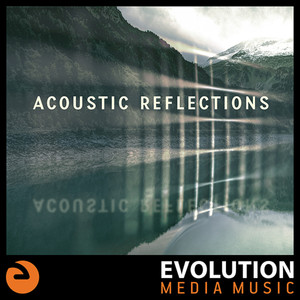 Acoustic Reflections