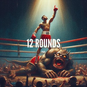 12 ROUNDS