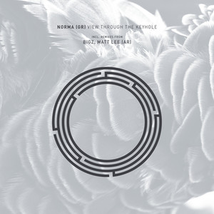 View Through the Keyhole (Matt Lee AR Remix)