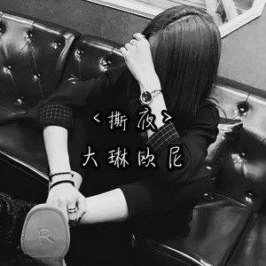 撕夜-大琳