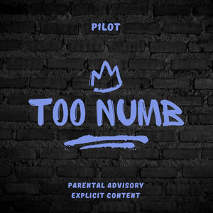 Too Numb (Explicit)