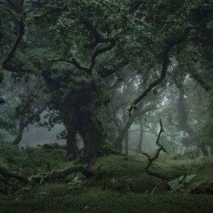 mnoy (prod. by tolique, twentyonesavin) (Explicit)