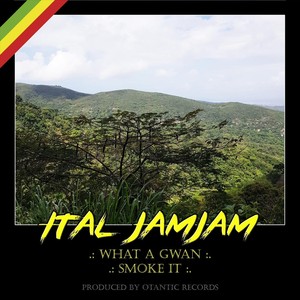 What a Gwan / Smoke It