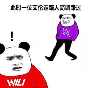 Alan Walker-End of Time - Alan Walker（WiLi Bootleg） (WiLi remix)