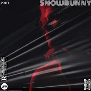 Snow Bunny (feat. Tone2) [Explicit]