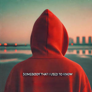 Somebody That I Used To Know