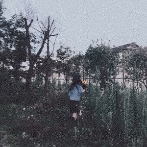 深夜总让我想起你