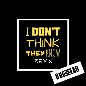 I Don't Think They Know (Bushhead Remix)