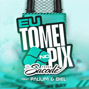 Eu Tomei no Pix (feat. Paulim e Biel) [Explicit]