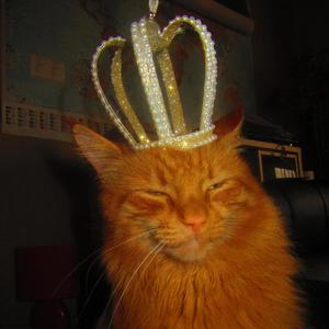 Trap King (Explicit)