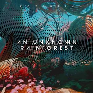 An Unknown Rainforest