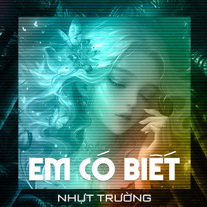 Em Có Biết (Remix)