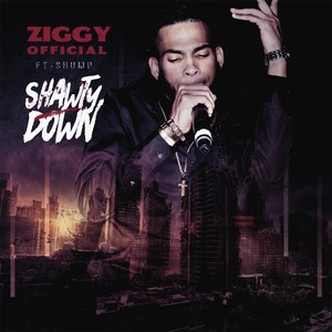 Shawty Down (Radio Edit) [feat. Shump]