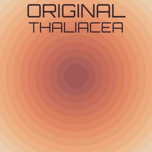 Straight Distribution