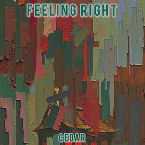 Feeling Right (Explicit)