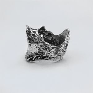 Silent Crown