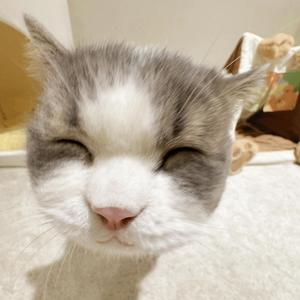 Ride (feat. Sean Kingston, Fenix Flexin, Ty Dolla $ign & Busta Rhymes) (Explicit)