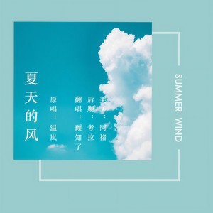 夏天的风