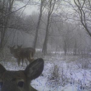 GARDEN TOME(feat. usagi)