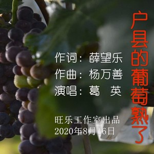 户县的葡萄熟了 (伴奏)