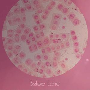 Below Echo