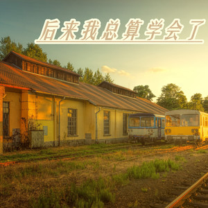 回忆中想哭 (DJ版)