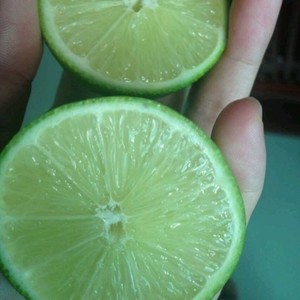 青柠