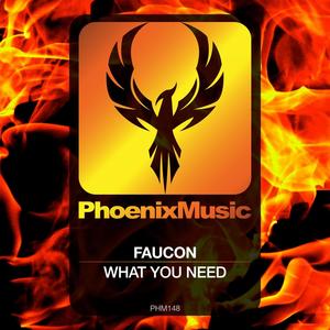 What You Need (Original Mix)