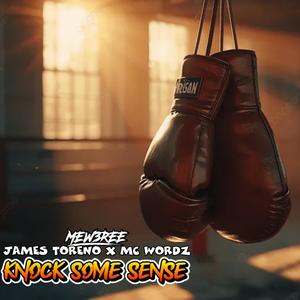 Knock Some Sense (feat. James Toreno & MC Wordz) (Explicit)