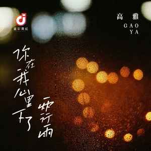 你在我心里下了两行雨 (DJ版伴奏)