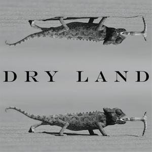 DRY LAND