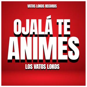 Ojala Te Animes