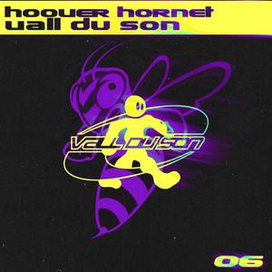 Hoover Hornet