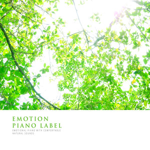 계절은 돌아오고 (The Season Is Coming Back) (Nature Ver.)