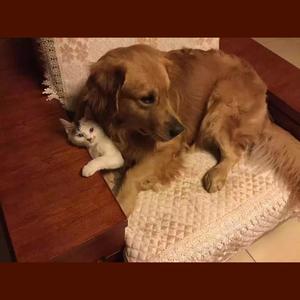 我们的以后原版伴奏