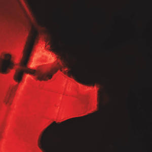 SKULL BREAKERS (feat. TrippE Da phonk) (Explicit)