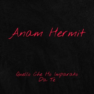 Quello Che Ho Imparato Da Te