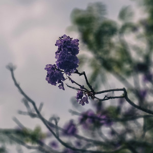 Echoes of the Helpless