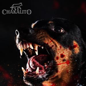 #Rottweiler(Chakali’style n.1) (Explicit)