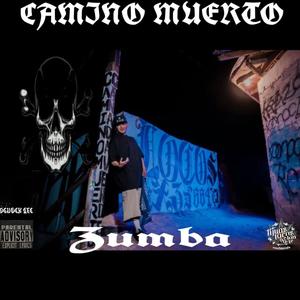 Zumba (feat. Krows) [Explicit]