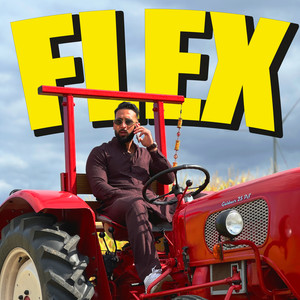 Flex