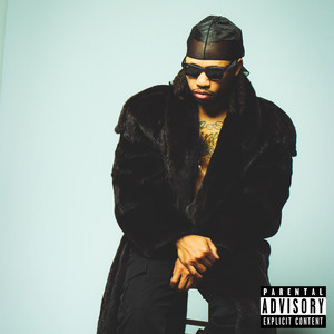 Fine Vibe (Explicit)