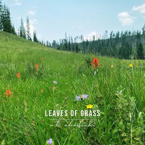 Leaves Of Grass