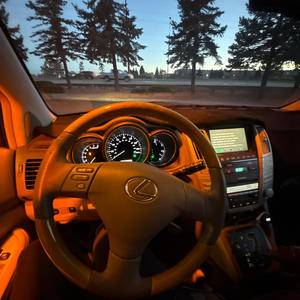 PLAIN WITH CHEESE (Explicit)