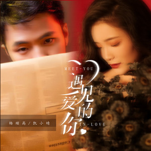 遇见爱的你