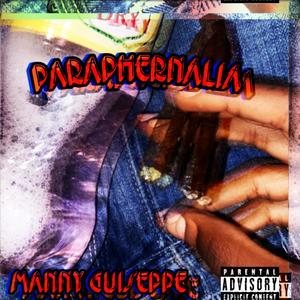 Paraphernalia Freestyle (Explicit)