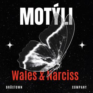 Motýli (feat. Narciss225) (Explicit)