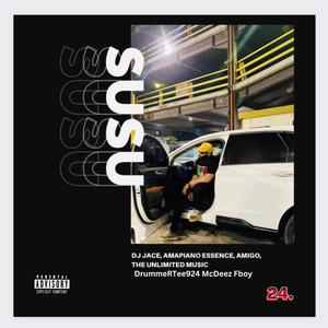 Susu (feat. Mr Amigo, Piano Essence, Mcdeez Fboy, DrummeRTee924 & The Unlimited Music) [Explicit]